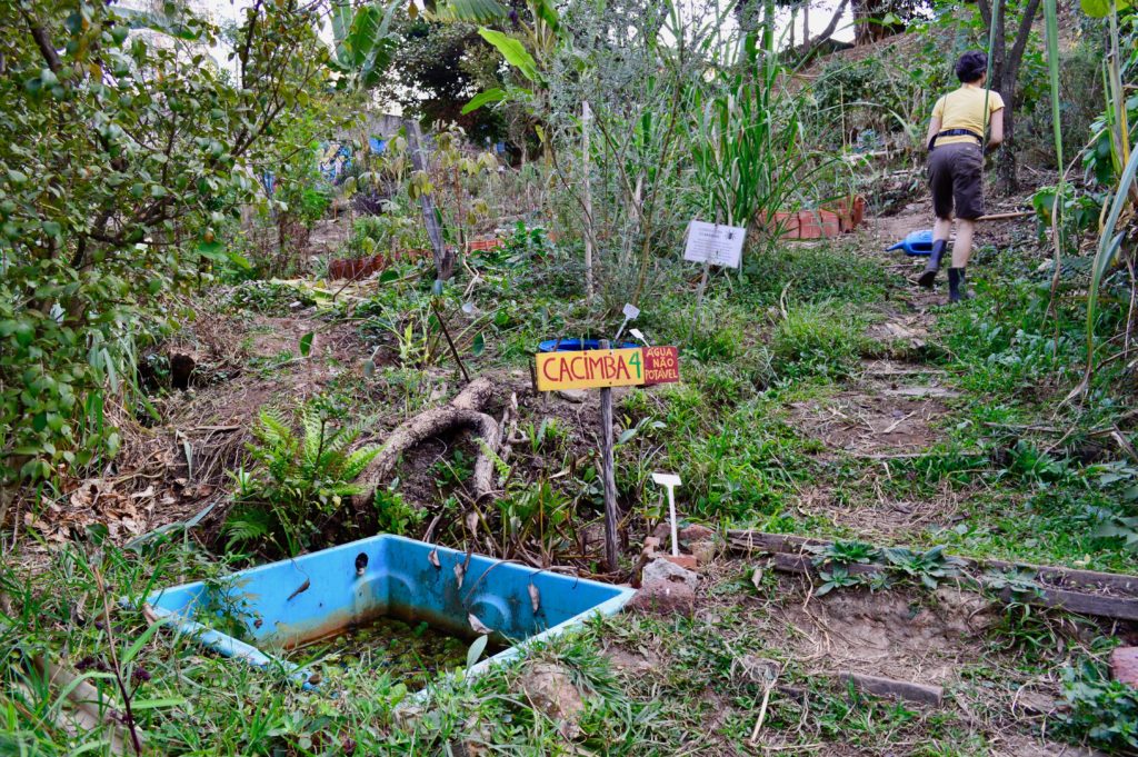 Claudia Visoni, in a community garden that she co-founded, which taps into one of the city’s countless hidden springs to grow vegetables and revitalize a barren park, pictured in July 2018. Visoni is among the water justice activists who have sought to work with a range of social movements.